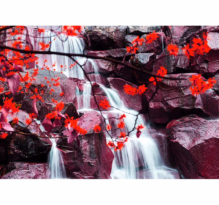 Fototapete Wasserfall Wasserfall natur jahreszeit frühlingswald - TenStickers