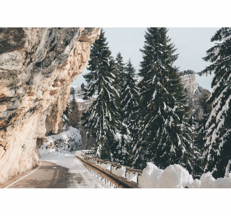 Fototapete Landschaften winterkiefernlandschaft - TenStickers