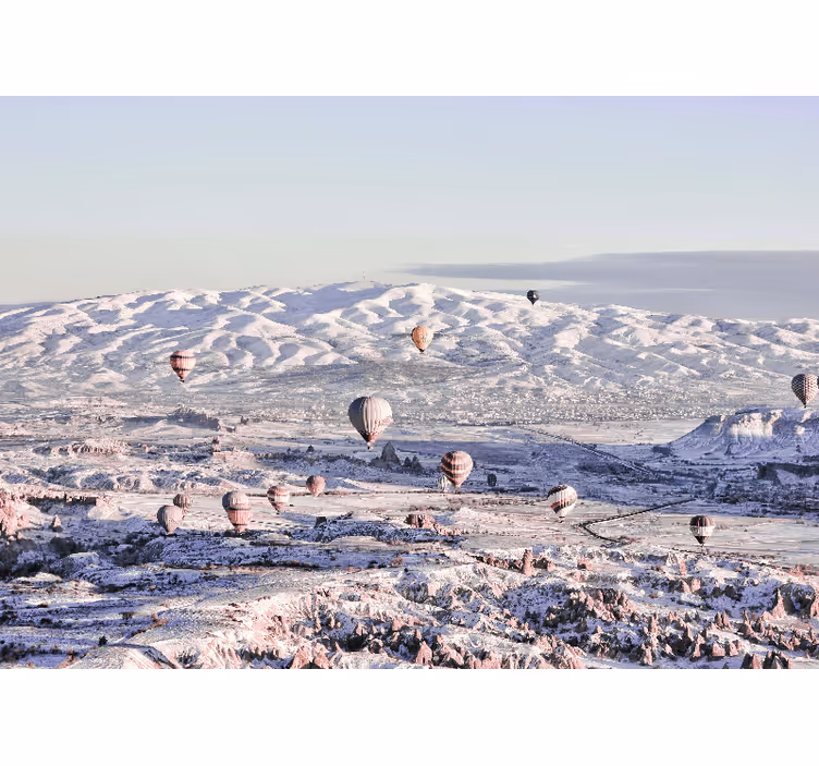 Fototapete Landschaften heißluftballons landschaft - TenStickers