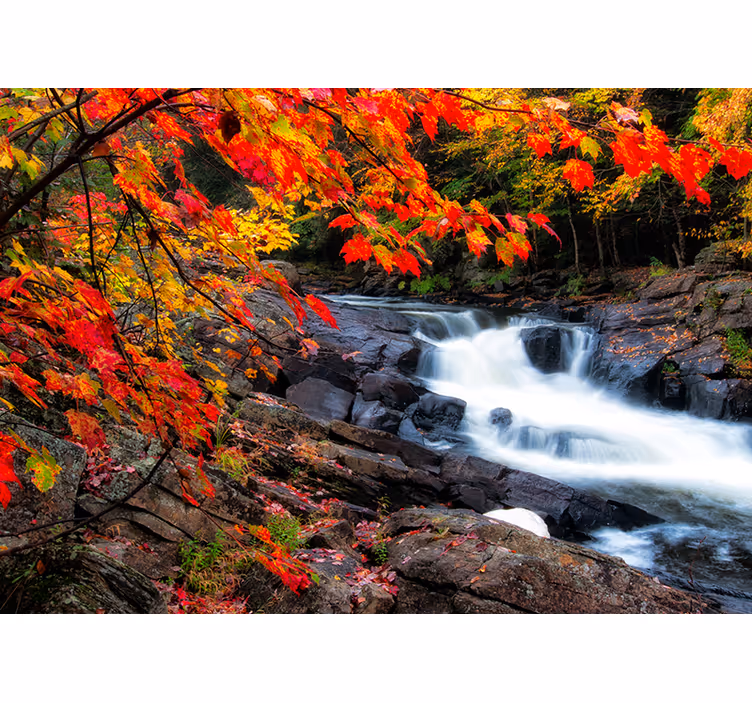 Tapete wald herbst wasserfall landschaft - TenStickers
