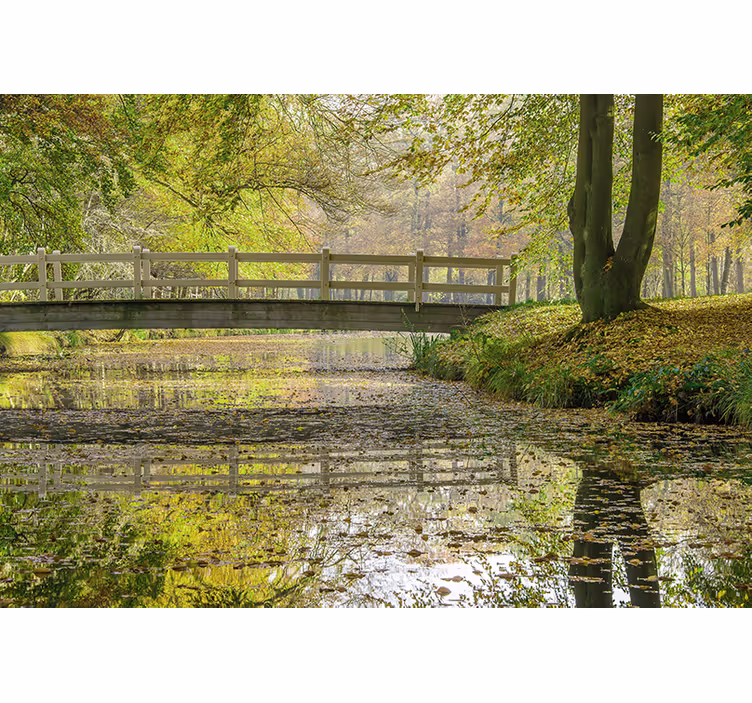 Fototapete Natur ruhige flussbrücke - TenStickers