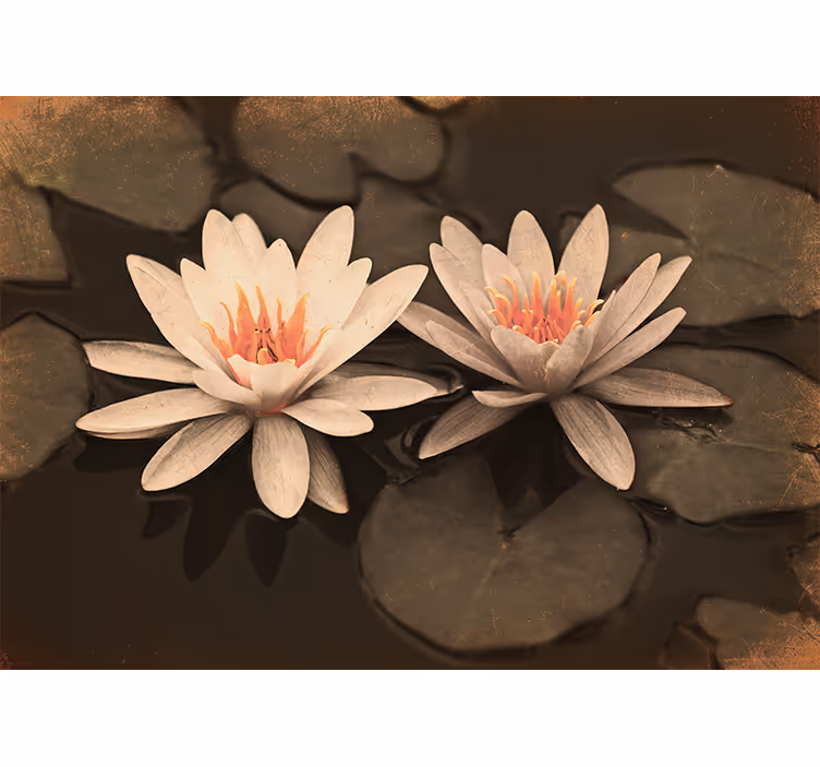Fototapete Mohnblumen lotusblumenpaar - TenStickers