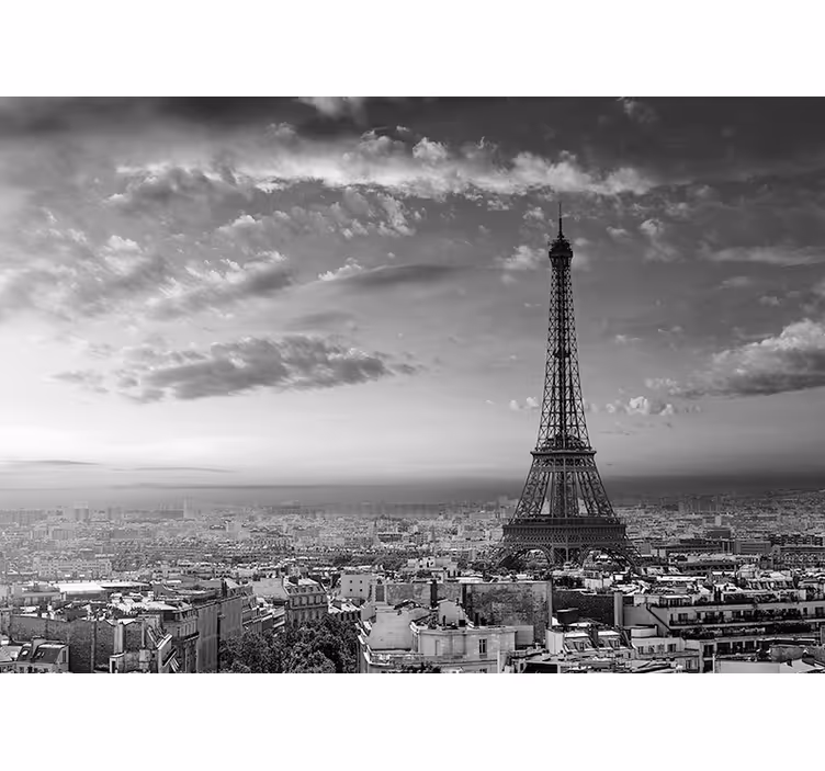 Fototapete paris aussichtspunkt eiffel tower - TenStickers