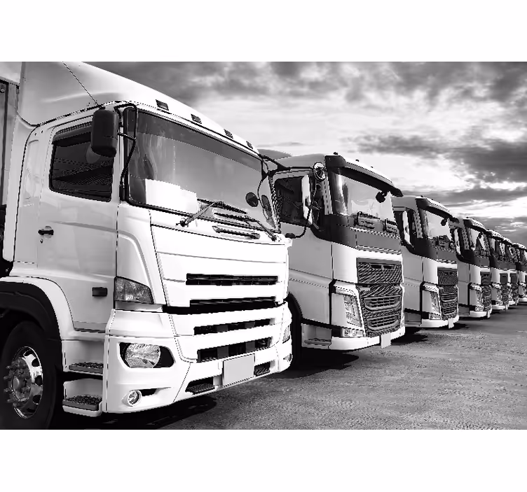 Fototapete fahrzeuge lkw aufstellung - TenStickers