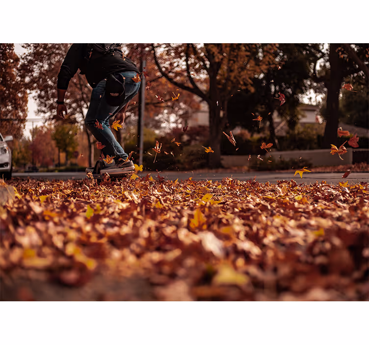 Fototapete Städte und Länder herbstlaub stkater - TenStickers