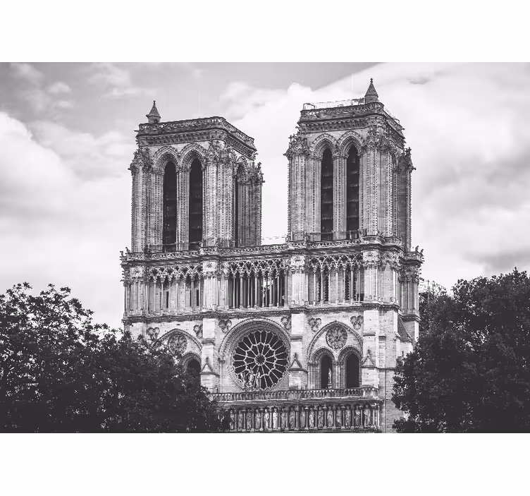 Fototapete Paris kathedrale notre dame - TenStickers