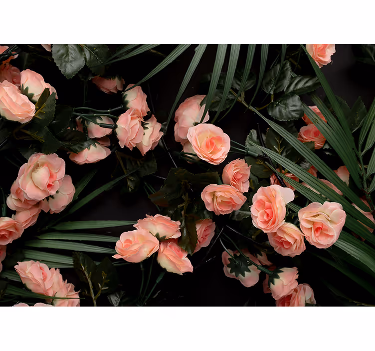 Fototapete blumen zarte rosa rosen - TenStickers