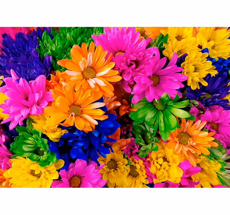 Fototapete blumen buntes botanisches arrangement - TenStickers