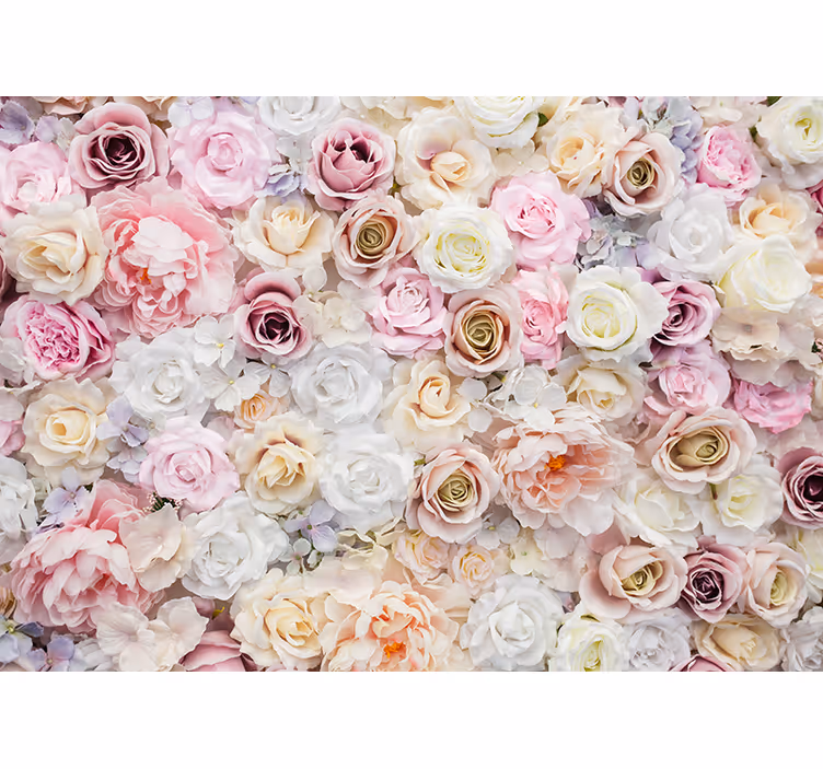 Fototapete blumen zartes rosenarrangement - TenStickers