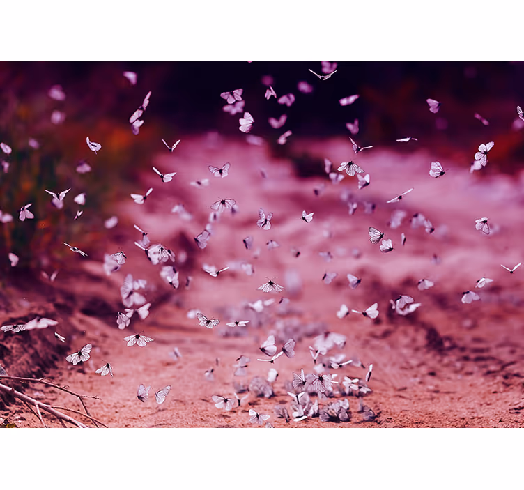 Fototapete Blumen zarter schmetterlingstanz - TenStickers