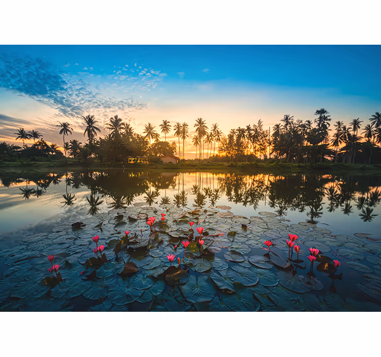 Fototapete Natur ruhige lotusreflexion - TenStickers
