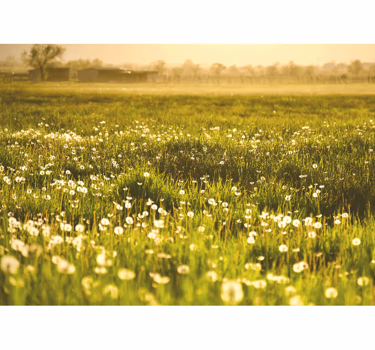 Fototapete blumen löwenzahnwiese szene - TenStickers