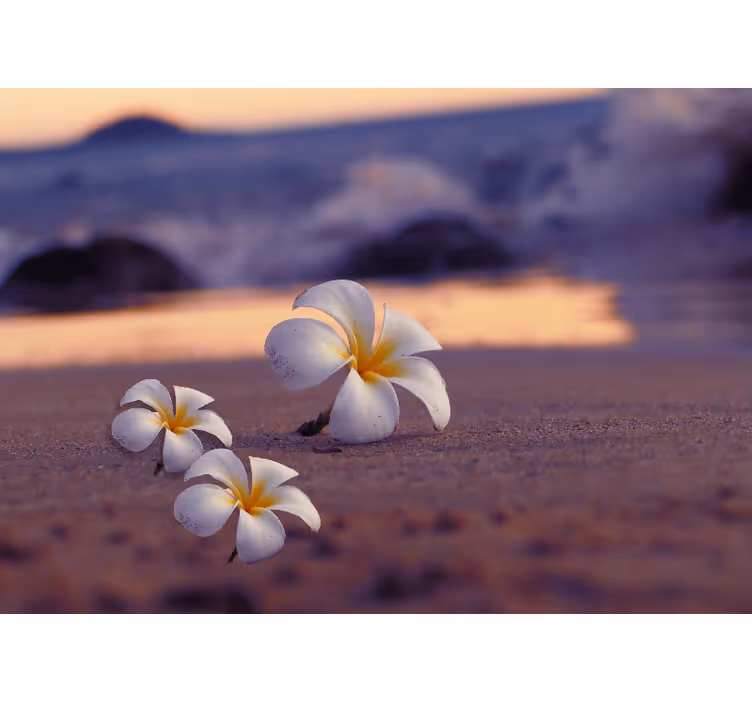 Fototapete mohnblumen tropisches blumen-trio - TenStickers