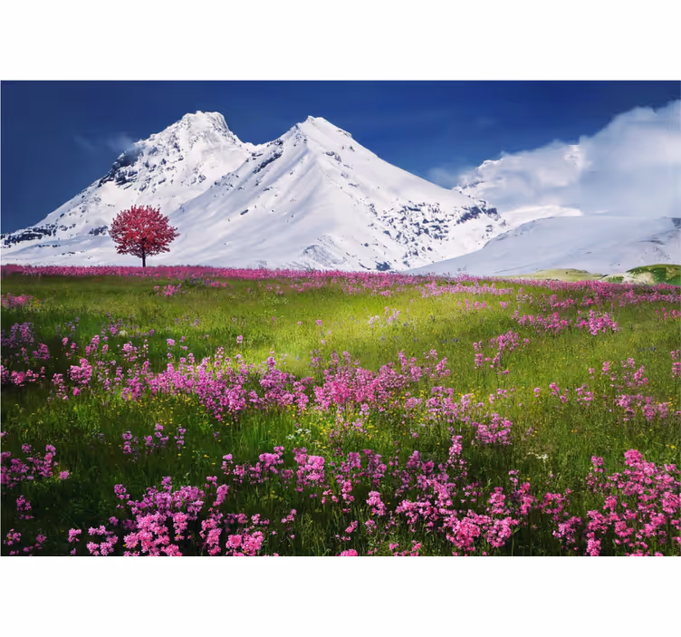 Fototapete Natur schneebedeckte berge blühen - TenStickers