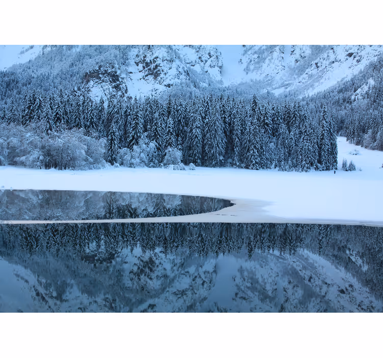 Fototapete landschaften ruhige winterlandschaft - TenStickers