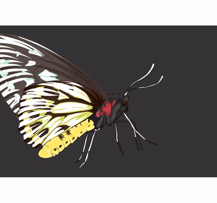 Fototapete Blumen gelbes schmetterlingsdesign - TenStickers