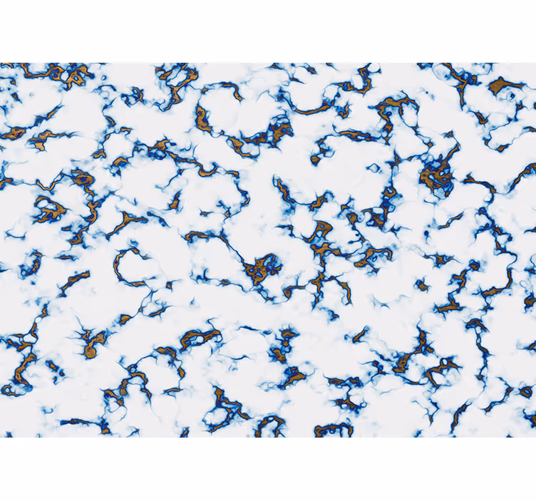 Fototapete textur marmor muster - TenStickers