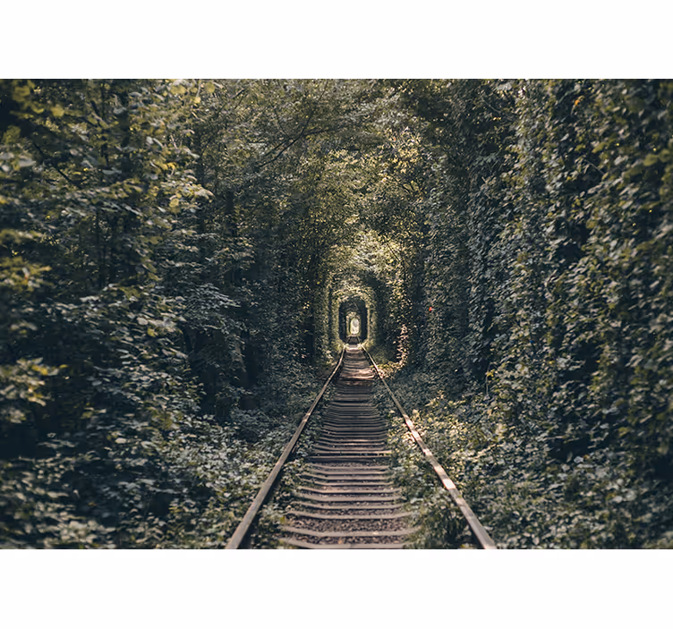 Fototapete landschaften eisenbahntunnel natur - TenStickers
