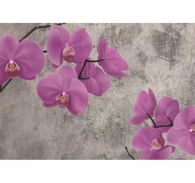 Fototapete blumen rosenorchideenblüten - TenStickers