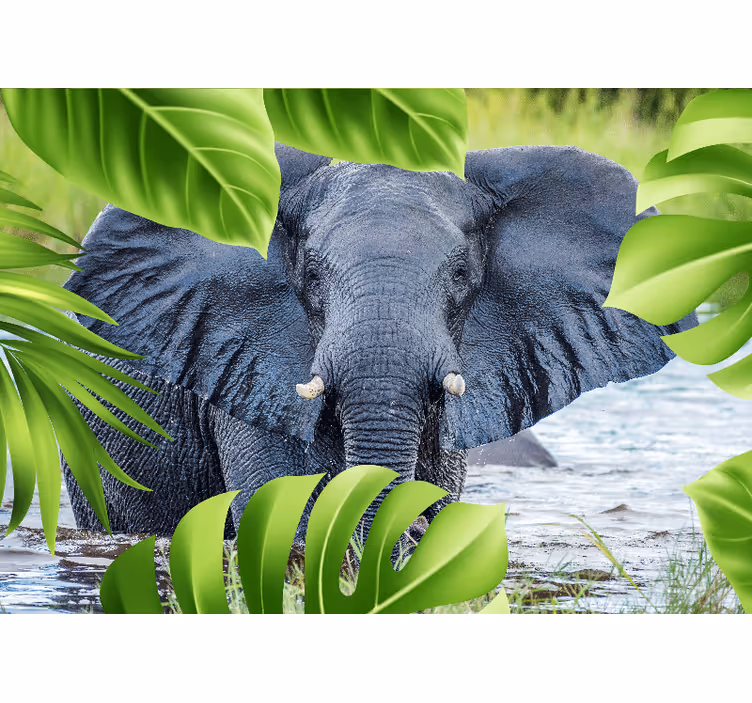 Fototapete tiere elefantenerlebnis für ihr zuhause - TenStickers