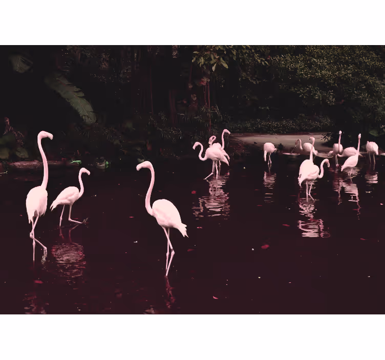 Fototapete home office elegante flamingos versammlung - TenStickers