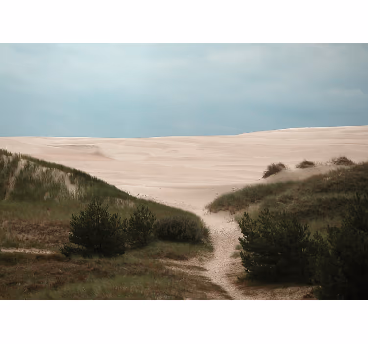 Fototapete landschaften sanddünenweg - TenStickers