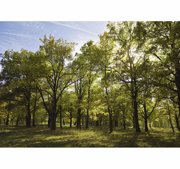 Fototapete natur lebendige blattlandschaft - TenStickers