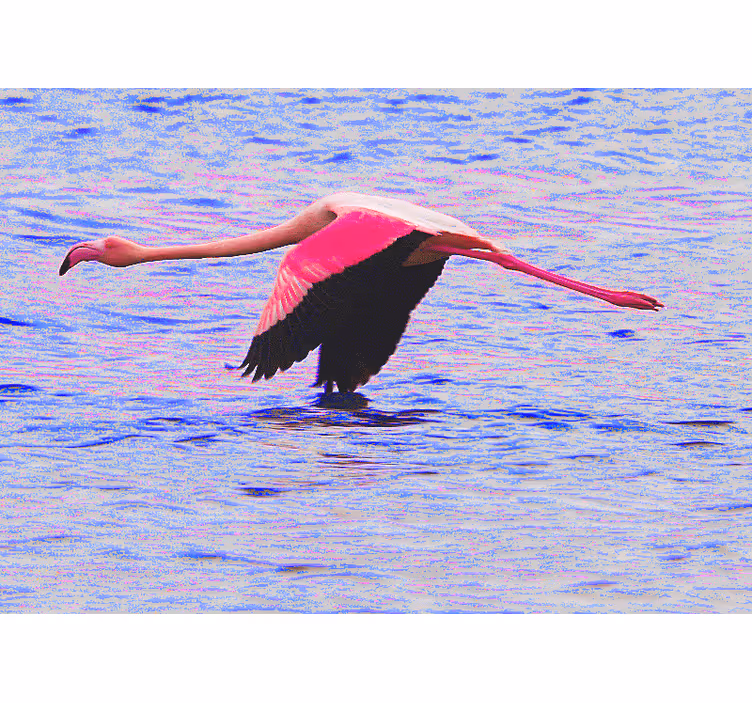 Fototapeten Tiere flamingo im flug - TenStickers