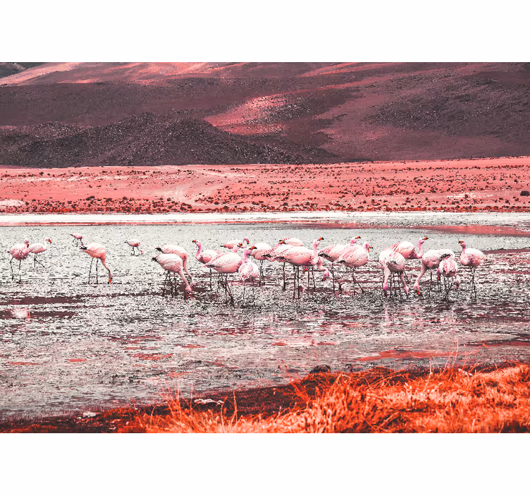 Fototapeten tiere flamingo lebensraum szene - TenStickers