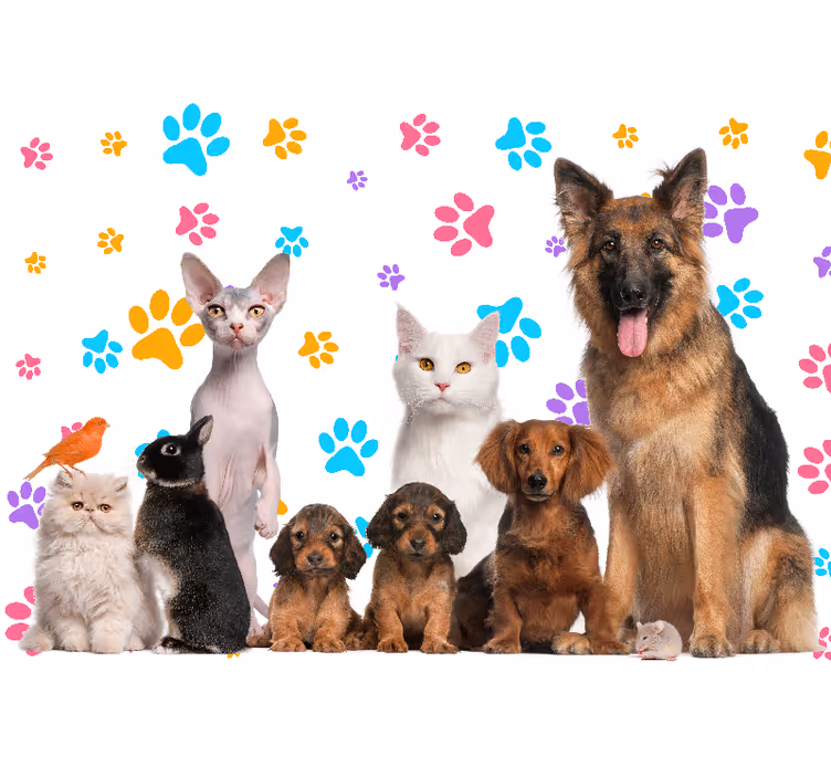 Fototapete tiere glückliche tierische begleiter - TenStickers