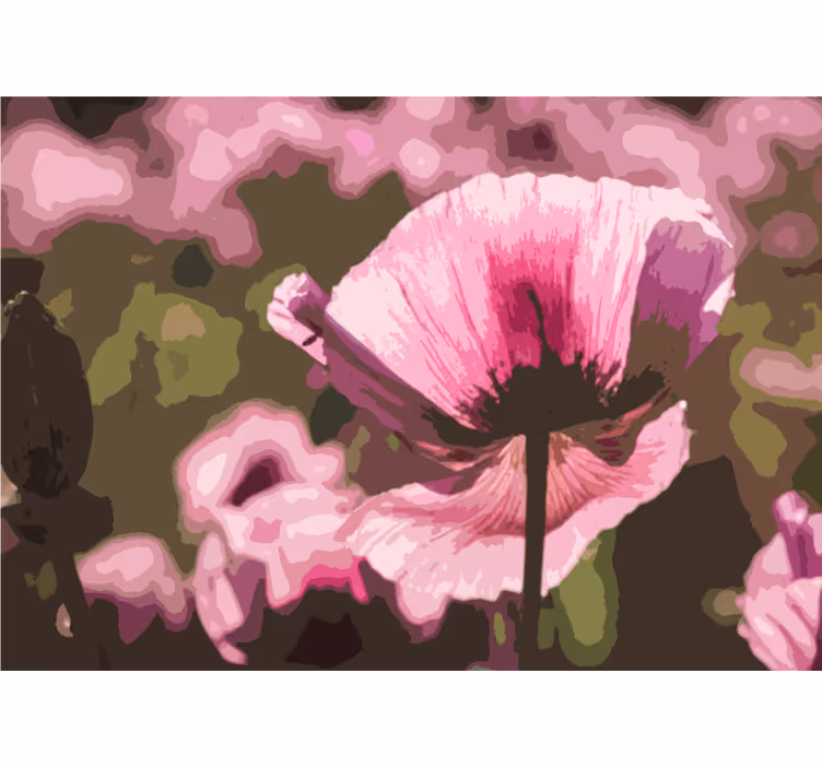 Fototapete mohnblumen pinke mohnblüte - TenStickers