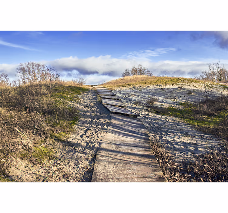 Fototapete landschaften holzweg landschaft - TenStickers
