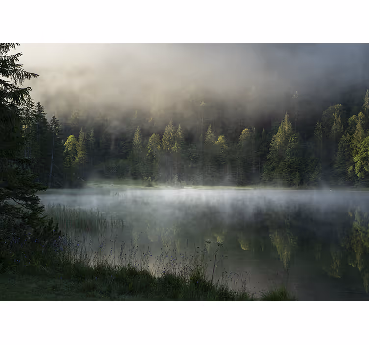 Fototapete natur ruhiger nebliger see - TenStickers