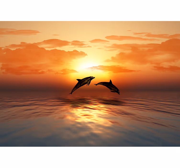 Fototapete Tiere delphine springen sonnenuntergang - TenStickers