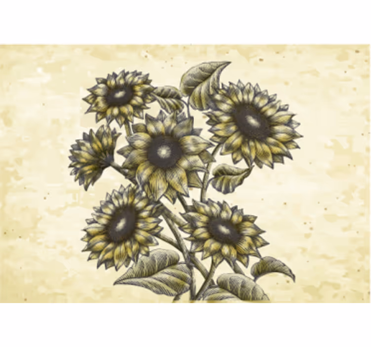 Fototapete blumen sonnenblumen komposition - TenStickers