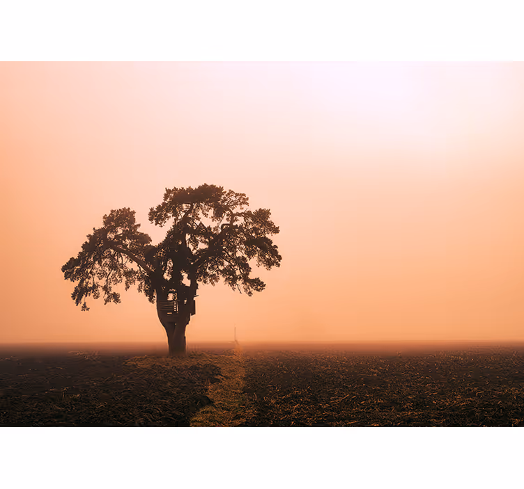 Fototapete afrikanisch majestätischer savannenbaum - TenStickers