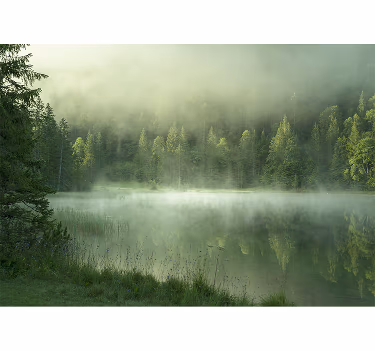 Fototapete natur nebeliger see spiegelung - TenStickers