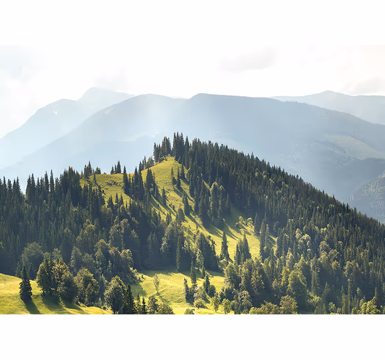 Fototapete landschaften bergwaldszene - TenStickers