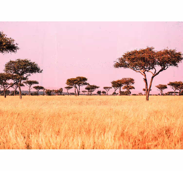 Fototapete landschaften ruhige savannenlandschaft - TenStickers