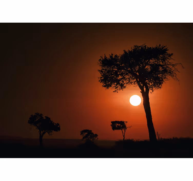 Fototapete Landschaften silhouette sonnenuntergang szene - TenStickers