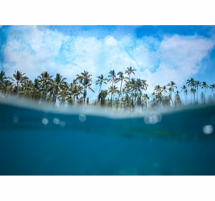 Fototapete natur palmenhorizont - TenStickers