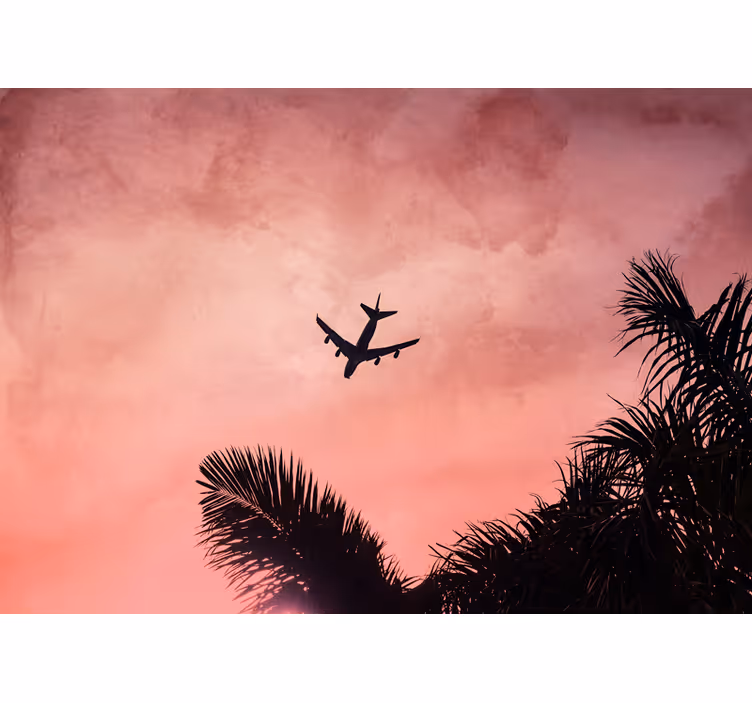 Fototapete fahrzeuge flugzeilsilhouette bei dämmerung - TenStickers