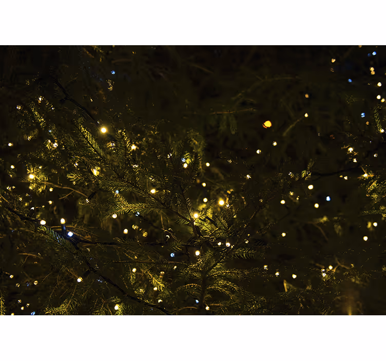 Fototapete weihnachten mit festlichen baumlichtern - TenStickers