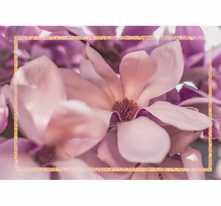 Fototapete blumen magnolia blüte nahaufnahme - TenStickers