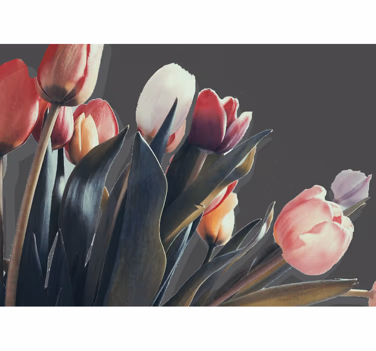 Fototapete blumen tulpenblüten darstellung - TenStickers