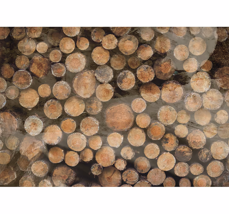 Fototapete texturen und muster holzscheit arrangement - TenStickers