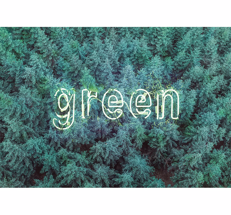 Fototapete natur grüner wald schriftzug - TenStickers