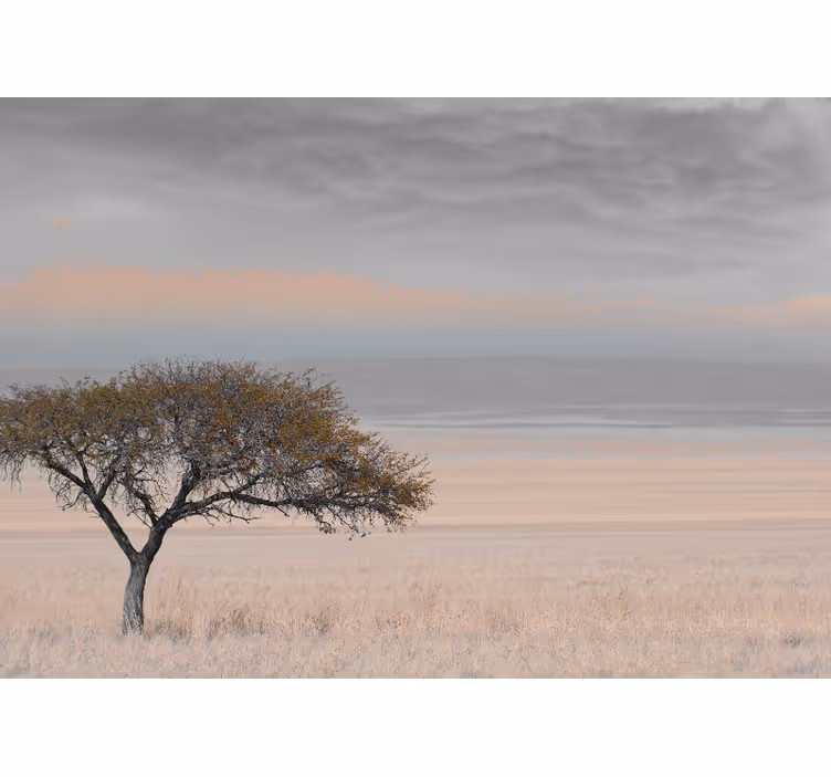 Fototapete natur einsames baumlandschaft - TenStickers