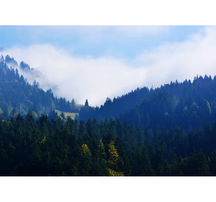 Fototapete natur berge und nebel - TenStickers