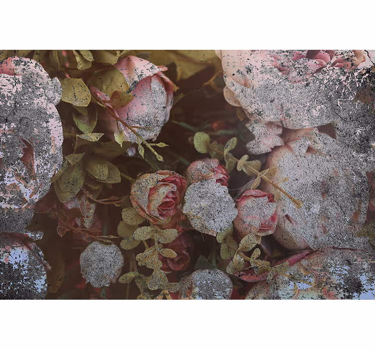 Fototapete blumen rosen und blätter - TenStickers